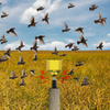 Nuevo diseño de soporte de altavoces al aire libre Registro de energía solar Repellador de aves y animales para granjas de jardín de maíz/campo de cultivo